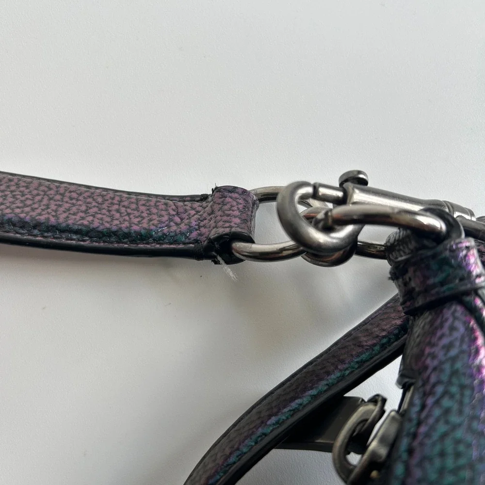 Coach rare iridescent